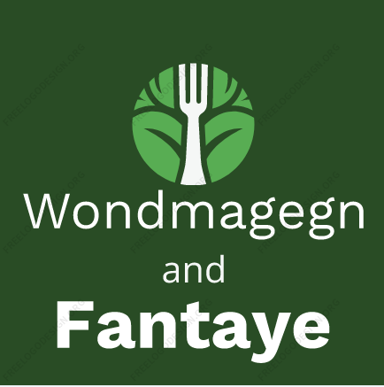 Wondmagegn and Fantaye Construction